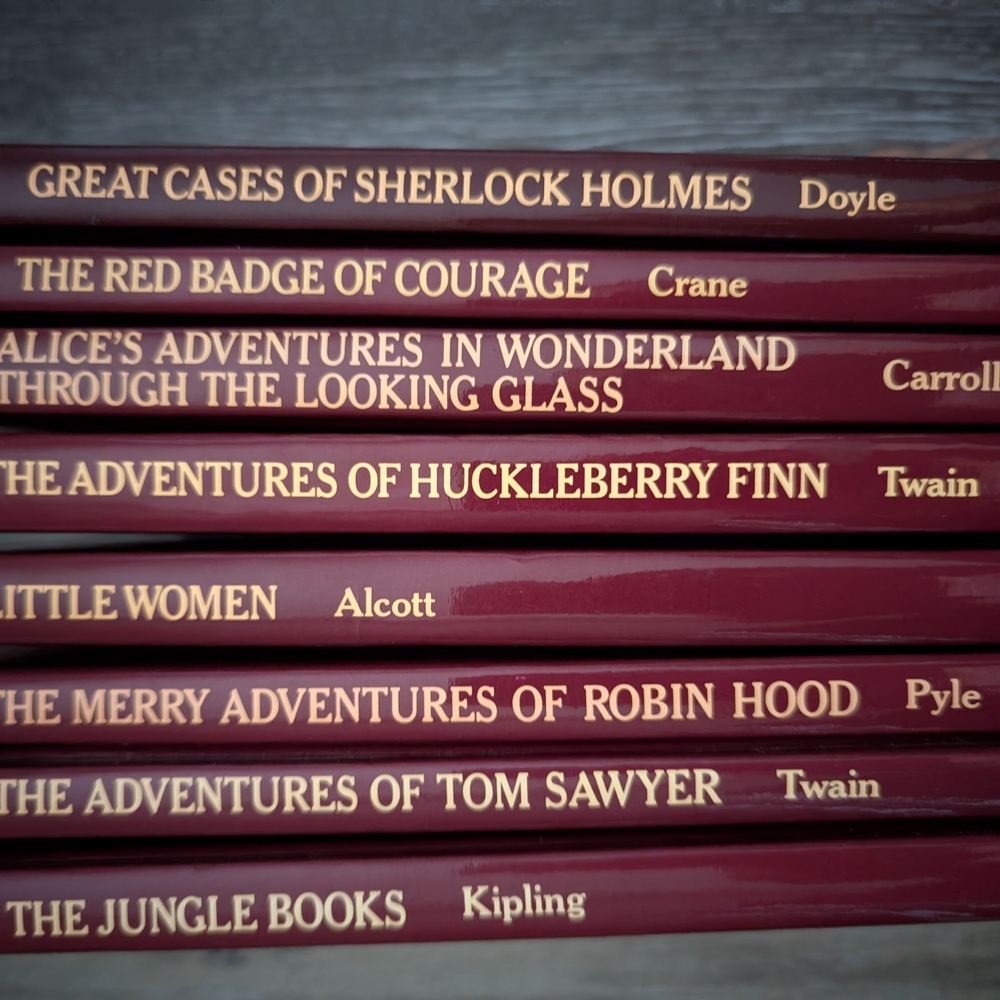 Classic Literature Book Collection in Maroon
